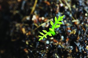 技术是什么？一文帮你彻底搞懂